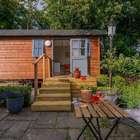 Готель Hawthorn Hut Kilkenny Glamping At Jenkinstown House Jenkinstown Park Екстер'єр фото